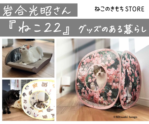 ペットフード・おもちゃ・お手入れ用品は、ねこのきもちSTORE