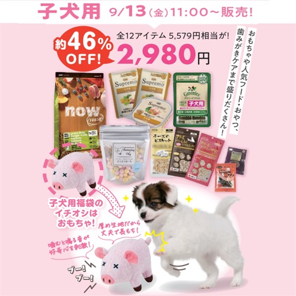 ★数量限定★福袋（子犬用・超小型～小型犬向け）(限定品)