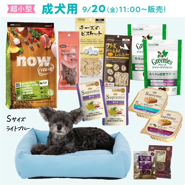 ★9/20(金)11時～★福袋（超小型・成犬用）【ライトブルー】(限定品)