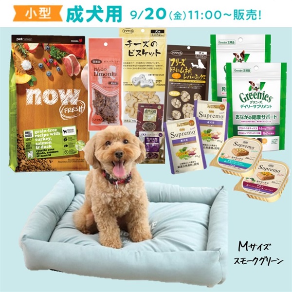 ★9/20(金)11時～★福袋（小型・成犬用）【スモークグリーン】(限定品)