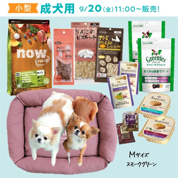 ★9/20(金)11時～★福袋（小型・成犬用）【ピンクブラウン】(限定品)