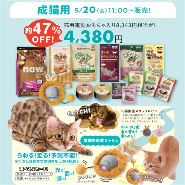 ★9/20(金)11時～★福袋（成猫用）(限定品)