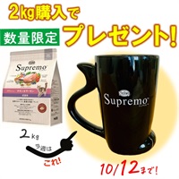成猫用　チキン＆サーモン