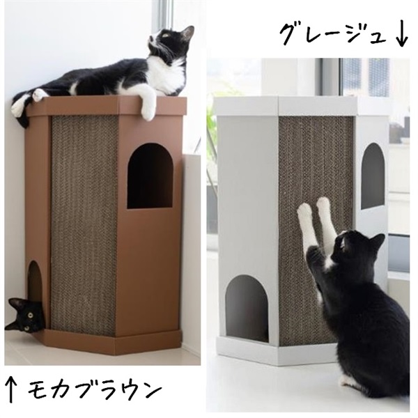 [ nekoto_ ]てくてくワゴン TKW-RD   <br><br> キッチンカー 車 お店 キャット ハウス ワゴン 軽い ダンボール製 かわいい 映え 可愛く 撮影 猫用ペットハウス ねこ 猫 組立式 日本製
