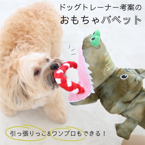 Happy shakee（ハッピーシェーキー）ワニ　超小型犬～中型犬用