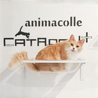 CATROAD＋　キャットバス