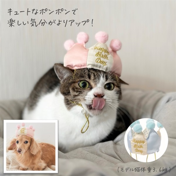 プレミアムバースデークラウン