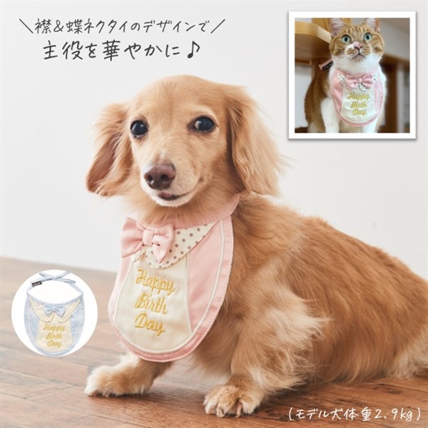 プレミアムバースデースタイ