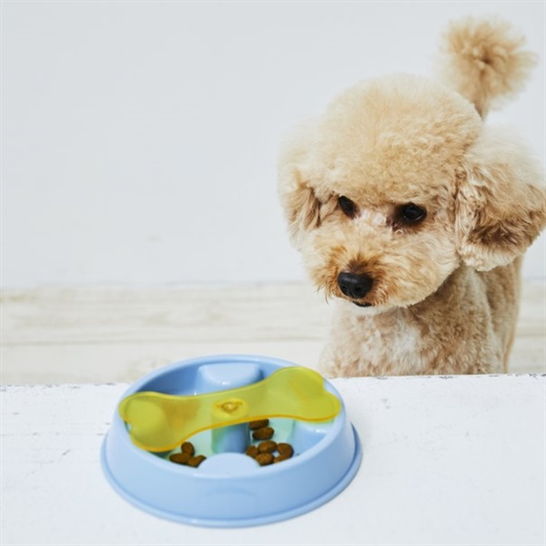 知育遊び＆早食い防止２ＷＡＹフードボウル(限定品)