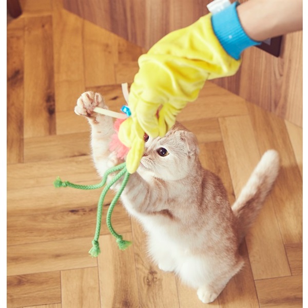 猫にモテモテ じゃらし手袋(限定品)