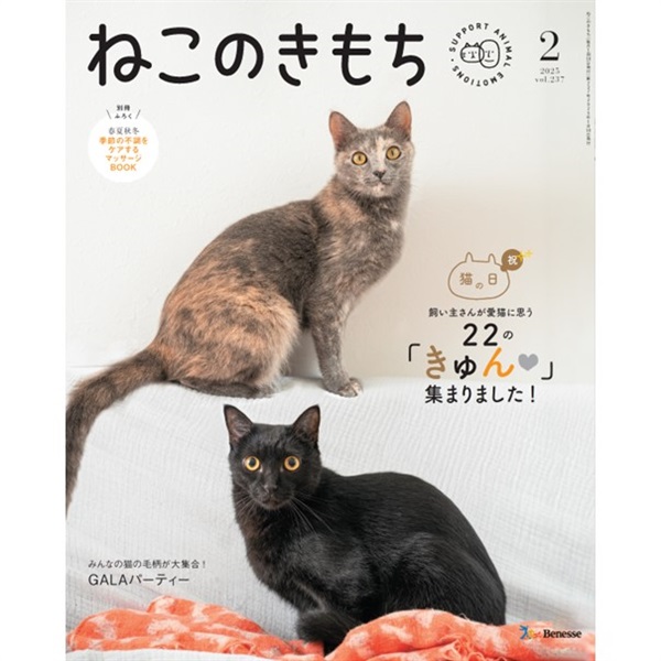 ねこのきもち２０２５年２月号(限定品)