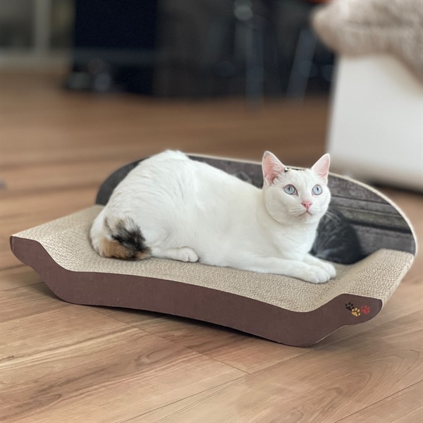 岩合光昭 「ねこ２２」爪とぎソファ　＜ねこのきもち編集長愛用＞