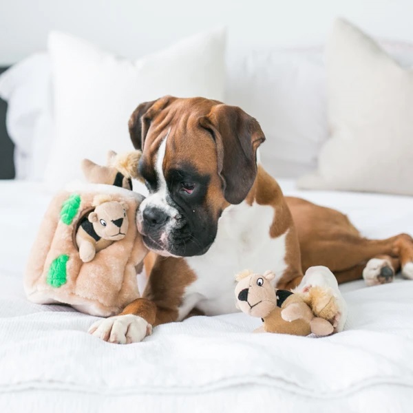 ハイドアンドシーク ラージ 犬用 アウトワードハウンド,toy,犬,いぬ,dog,知育,トイ,おもちゃ,ドッグ,クリスマスプレゼント特集,ギフト |  商品詳細 | いぬ・ねこのきもちSTORE（公式通販）