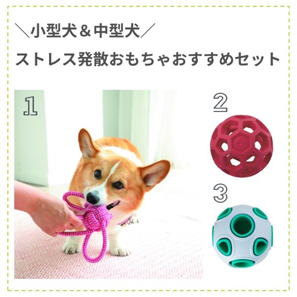 【小型犬＆中型犬】ストレス発散おもちゃおすすめセット(小型犬＆中型犬向け)