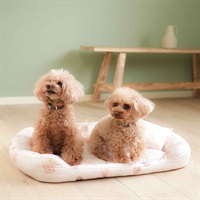 CAT＆DOG アイス柄COOLベッドMサイズ
