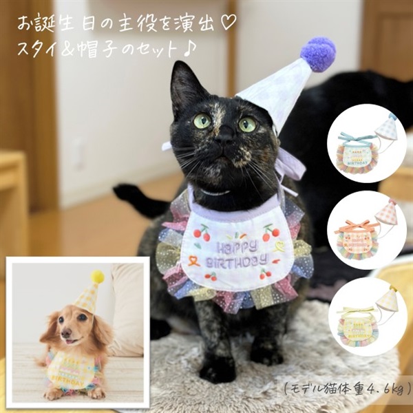 バースデースタイ＆帽子セット 商品詳細 いぬ・ねこのきもちSTORE（公式通販）