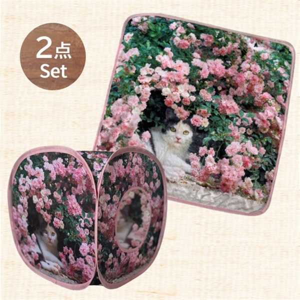 岩合光昭 「ねこ２２」ぺルラ２点セット（テント+ブランケット）(ぺルラ)