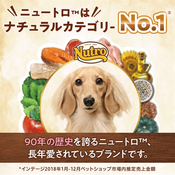 ニュートロ　ナチュラルチョイス　減量用　全犬種用　成犬用　ラム＆玄米　4kg ／　ND387