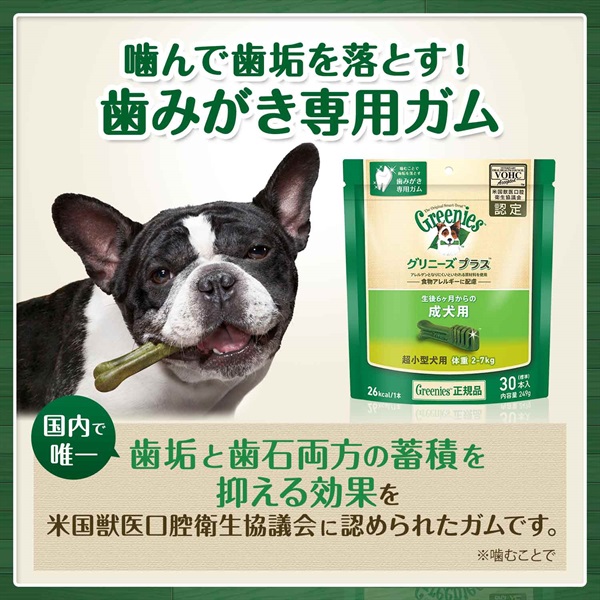 成犬用 超小型犬用ミニ １．３～４ｋｇ グリニーズ プラス | 商品詳細