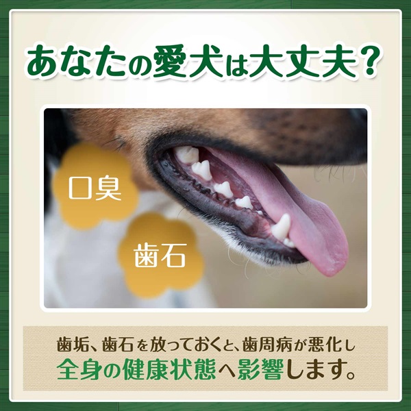 Amazon | グリニーズ プラス カロリーケア 超小型犬用 ［体重2
