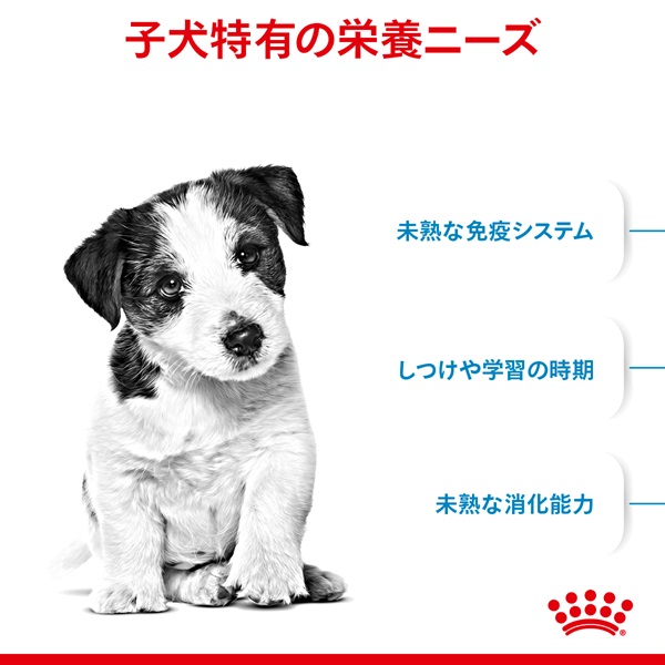 ロイヤルカナン 犬 ドッグフード ウェット ミニ パピー 小型犬の子犬用（10ヵ月齢まで） 85g×12袋