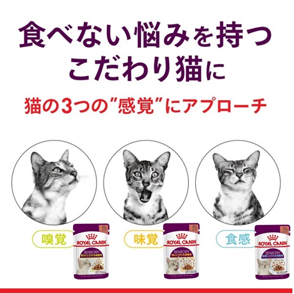 数量限定】ドライ＆ウエットお試しセット（こだわり猫向け） ロイヤルカナン,センサリー,成猫用, | 商品詳細 |  いぬ・ねこのきもちSTORE（公式通販）