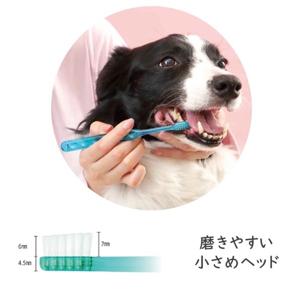 ネックが曲がる歯ブラシ Ciシュワワ 犬猫用【７月号ふろく】 犬,いぬ