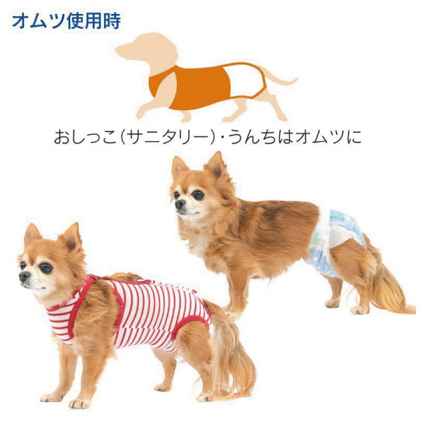 消臭機能付き 介護服マナーガード ダックス用 ネイビー 犬 いぬ Dog 介護 おむつ マナーガード 商品詳細 いぬ ねこのきもちstore 公式通販