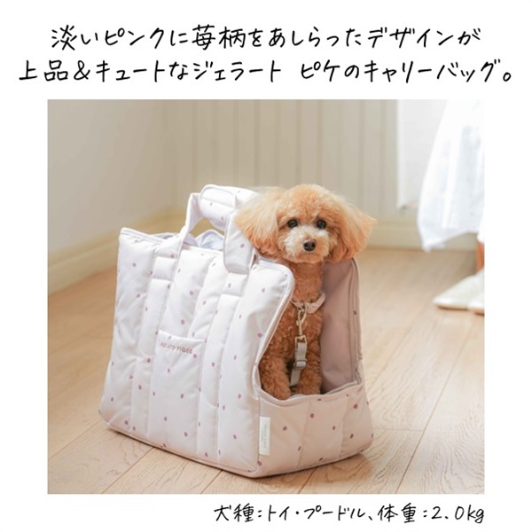 CAT＆DOG モチーフ柄ミニサイズキャリーバッグ | 商品詳細 | いぬ・ね ...