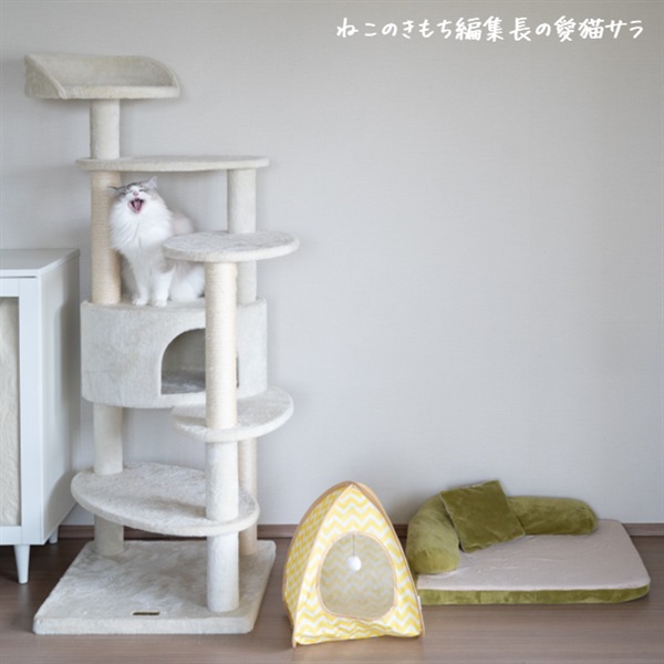 猫タワー リッチエッグ 猫用 ＜スタッフ愛用＞ | 商品詳細 | いぬ・ね