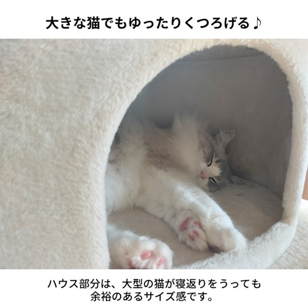 猫タワー リッチエッグ 猫用 ＜スタッフ愛用＞ | 商品詳細