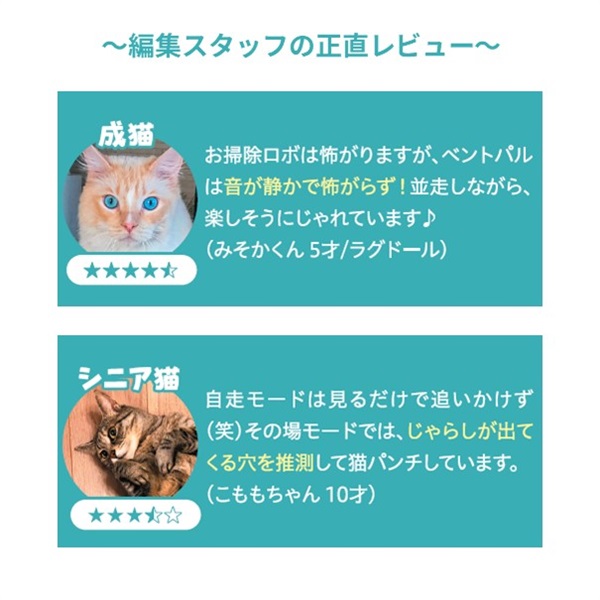 59円 買収 猫じゃらし ループ ライトラベル キャットトイ ホッピング 色おまかせ 関東当日便