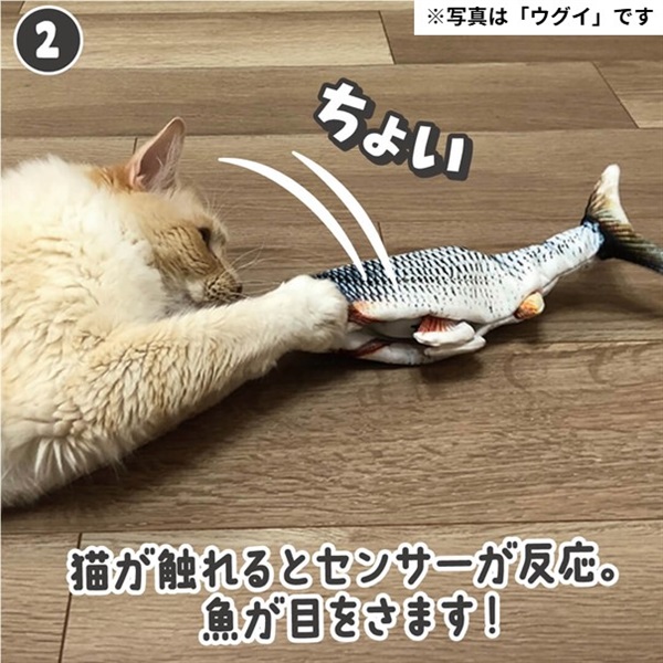 ダンシングフィッシュ クマノミ 電動おもちゃ 猫用 | 商品詳細 | いぬ