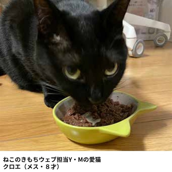 イージーダイナー キャットディッシュ 猫用 ＜スタッフ愛用＞ | 商品詳細 | いぬ・ねこのきもちSTORE（公式通販）