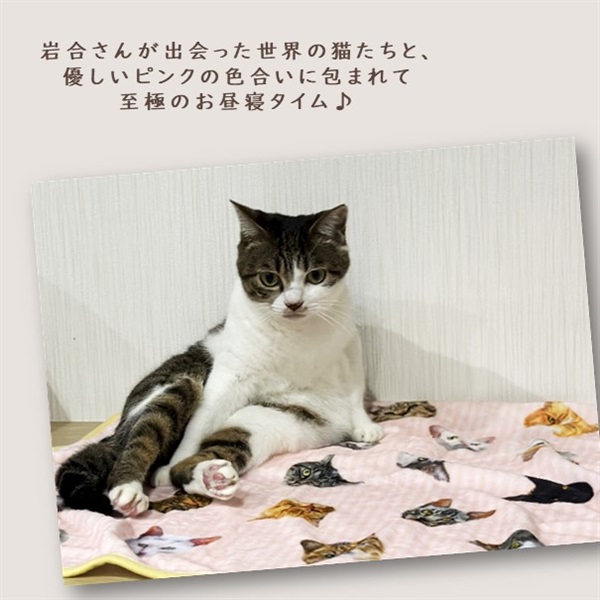 岩合光昭「ねこ２２」ふわふわブランケット 22cats | 商品詳細 | いぬ 