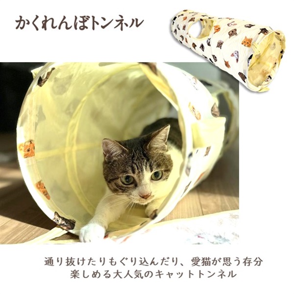 岩合光昭「ねこ２２」22catsスペシャル4点セット | 商品詳細 | いぬ 