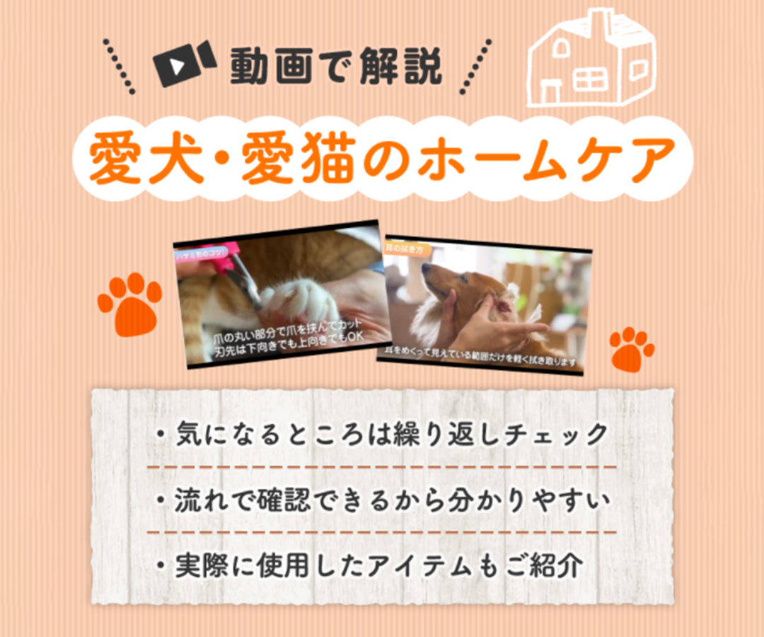 【動画で解説】愛犬・愛猫のホームケア