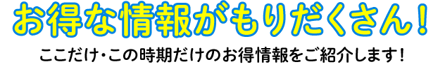 フードサポート限定セットも続々登場！