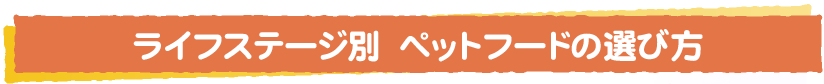 ご存知ですか？ペットフードの「種類」と「表示」