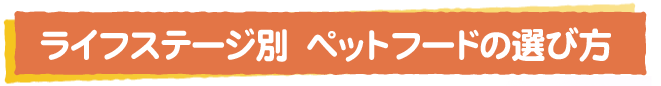 ご存知ですか？ペットフードの「種類」と「表示」