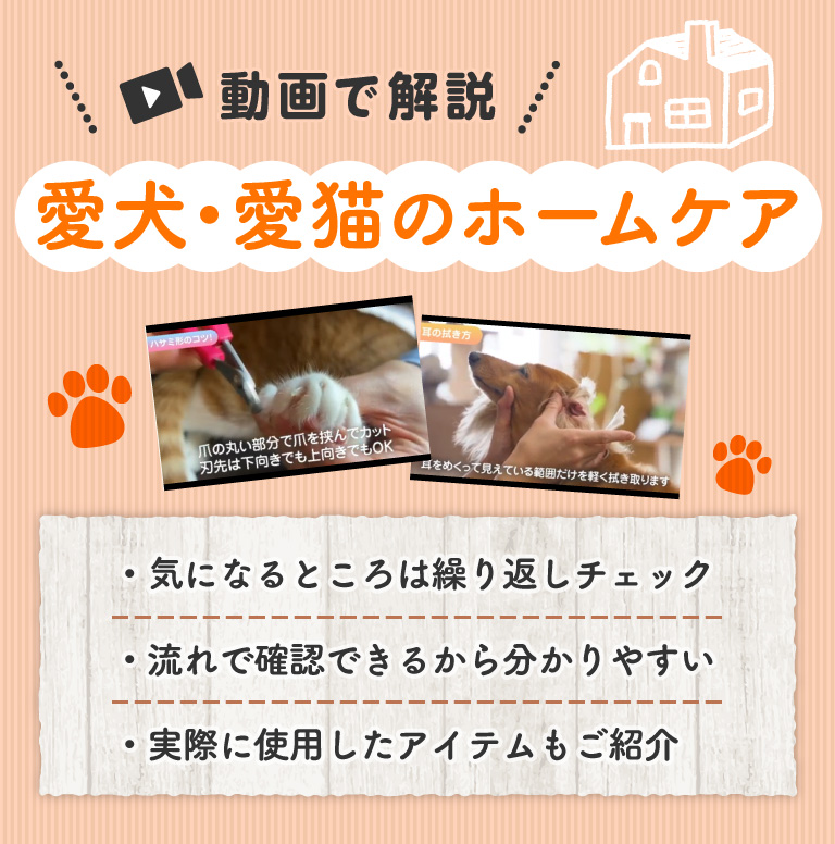 動画で解説　愛犬・愛猫のホームケア